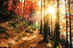 Herbstliche Landschaft