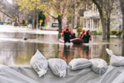 Steuern: Welche steuerlichen Maßnahmen gibt es für Betroffene von Katastrophenschäden?